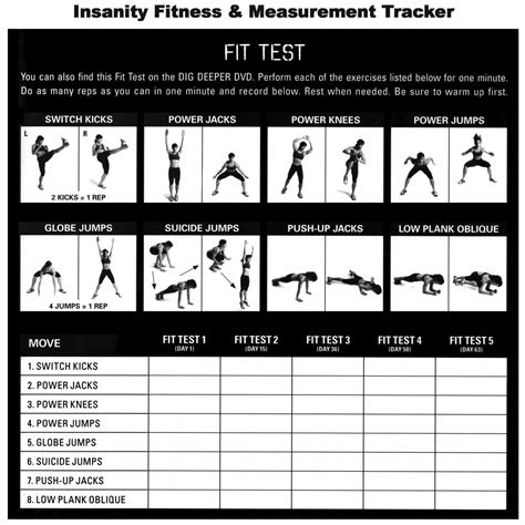 Insanity Workout Download .